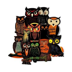 Live Show Listing- item pictured is not for sale